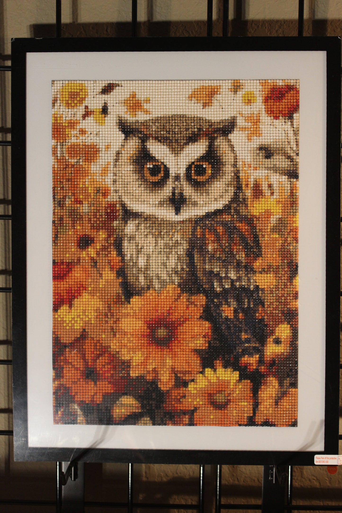 Majestic Owl. Absolutely a Beautiful Picture of an Owl. Great for Fall or Holiday Gifts.