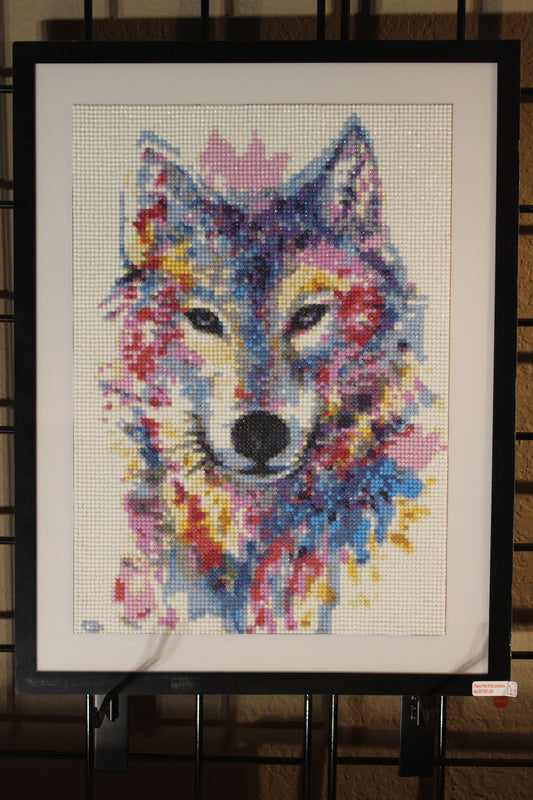 Majestic Wolf with Very Nice Light Colors; A Real Hunter Who's Gorgeous.