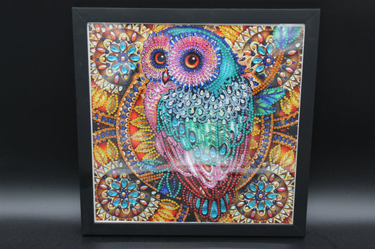 Great Colorful Diamond Art Owl Picture Framed