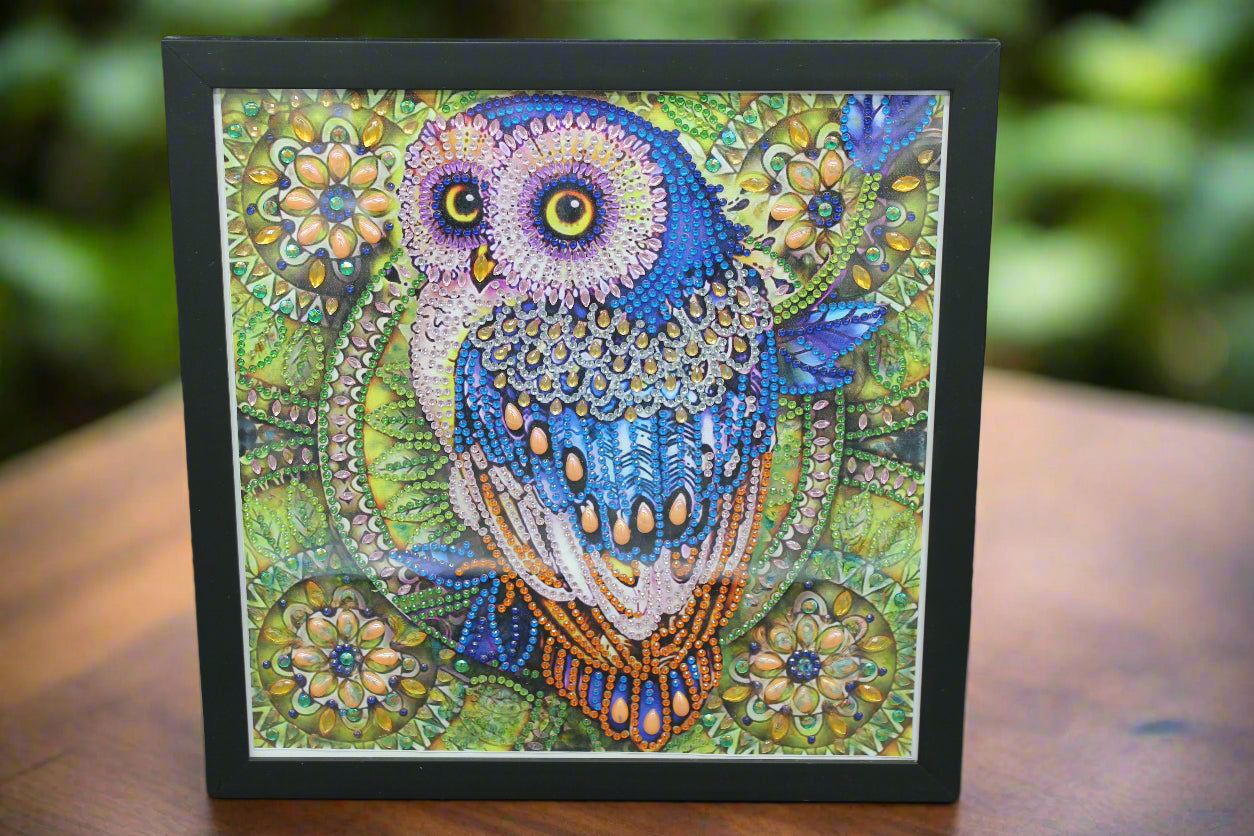 Cute Little Colorful Diamond Art Owl Picture Framed