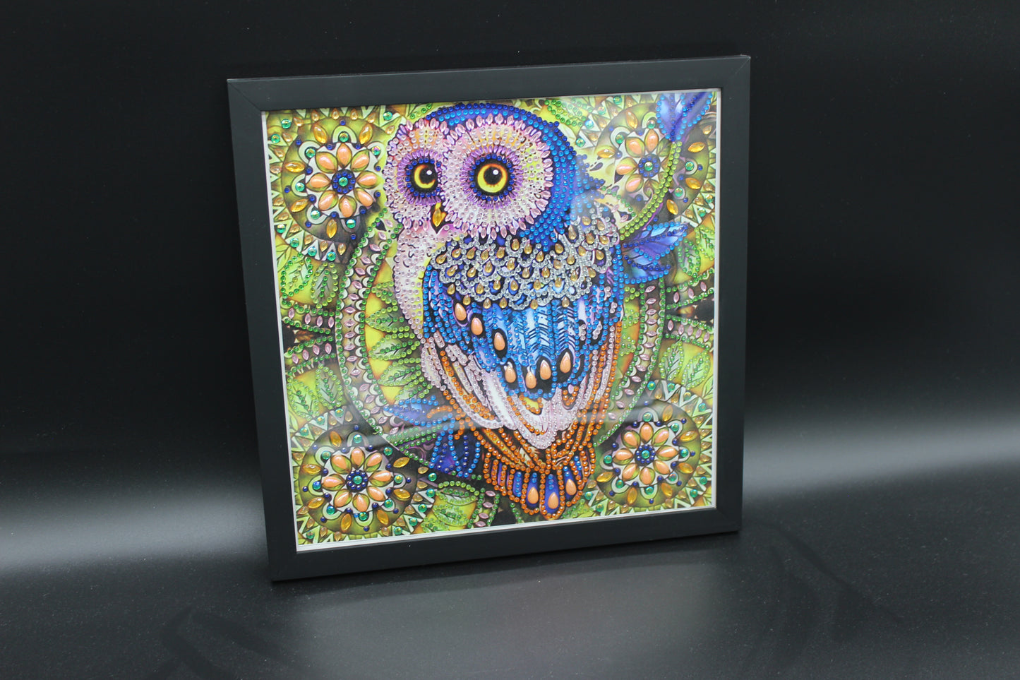 Cute Little Colorful Diamond Art Owl Picture Framed