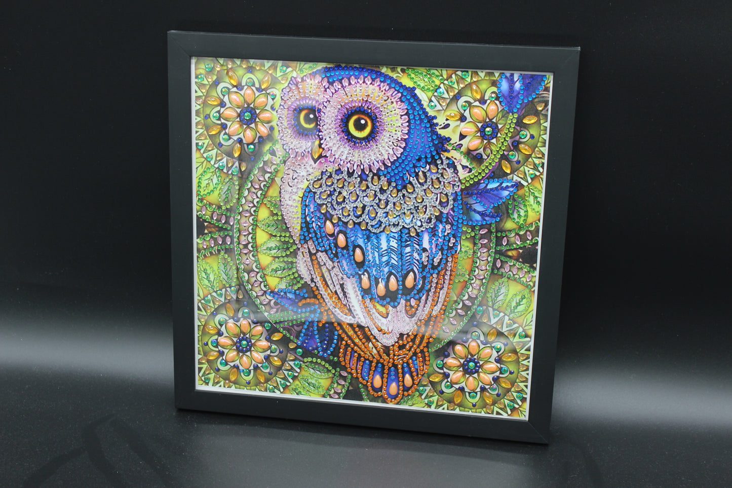 Cute Little Colorful Diamond Art Owl Picture Framed