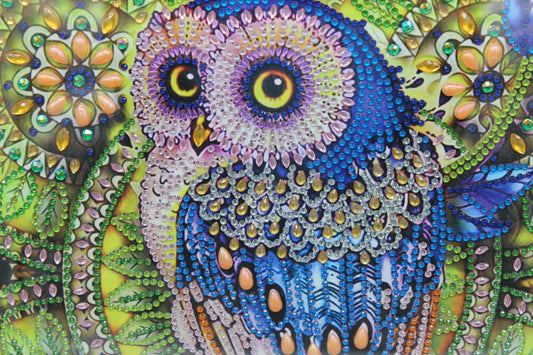 Cute Little Colorful Diamond Art Owl Picture Framed