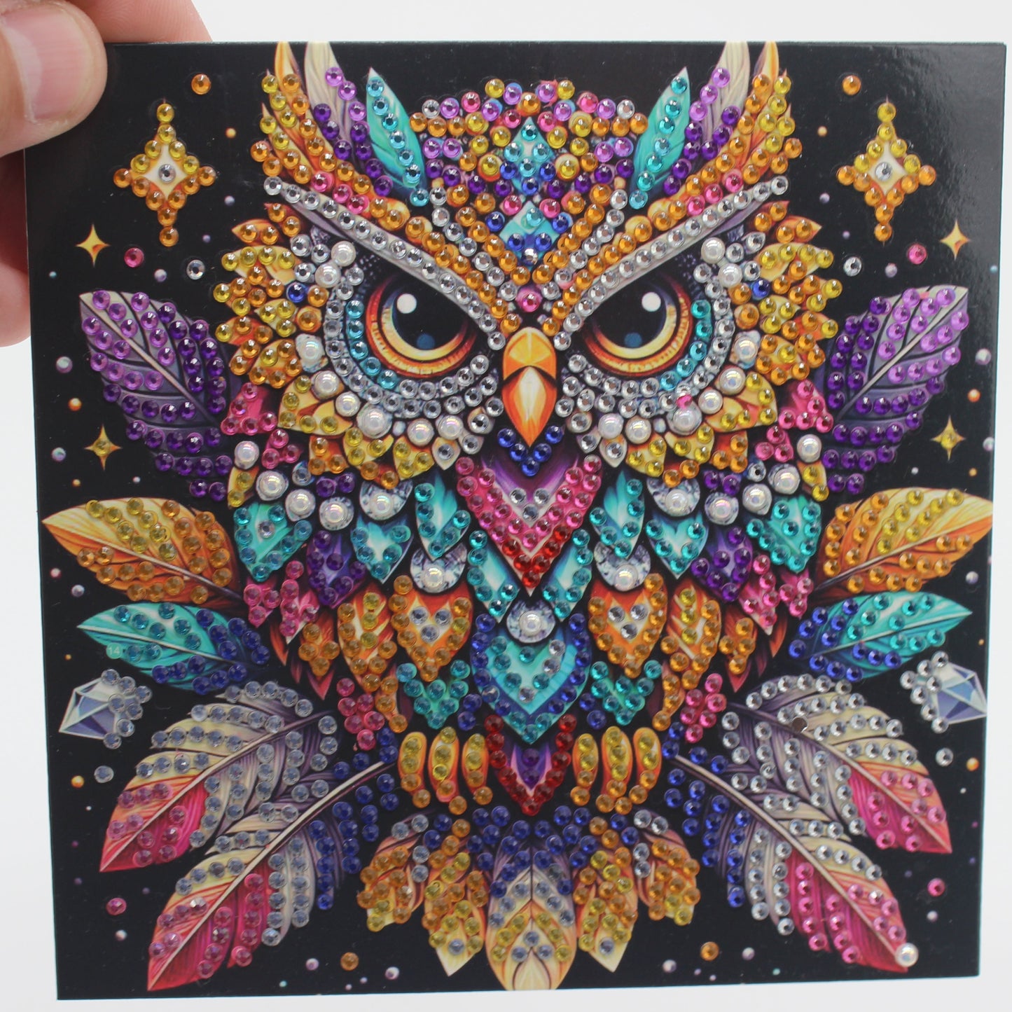 Stunning Multi Colored Owl Black and Silver Best Wishes Greeting Card