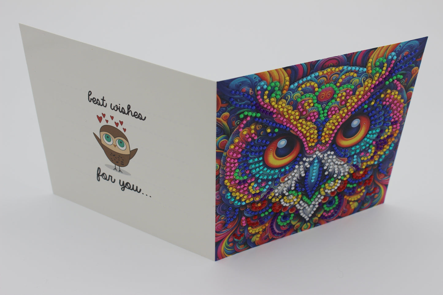Stunning Multi Colored Owl Pink and Blue Best Wishes Greeting Card