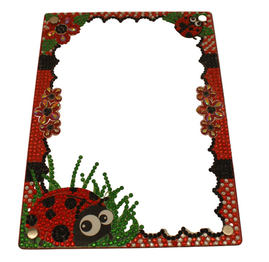 Diamond Art Clear Frame With a Lady Bug with Flowers