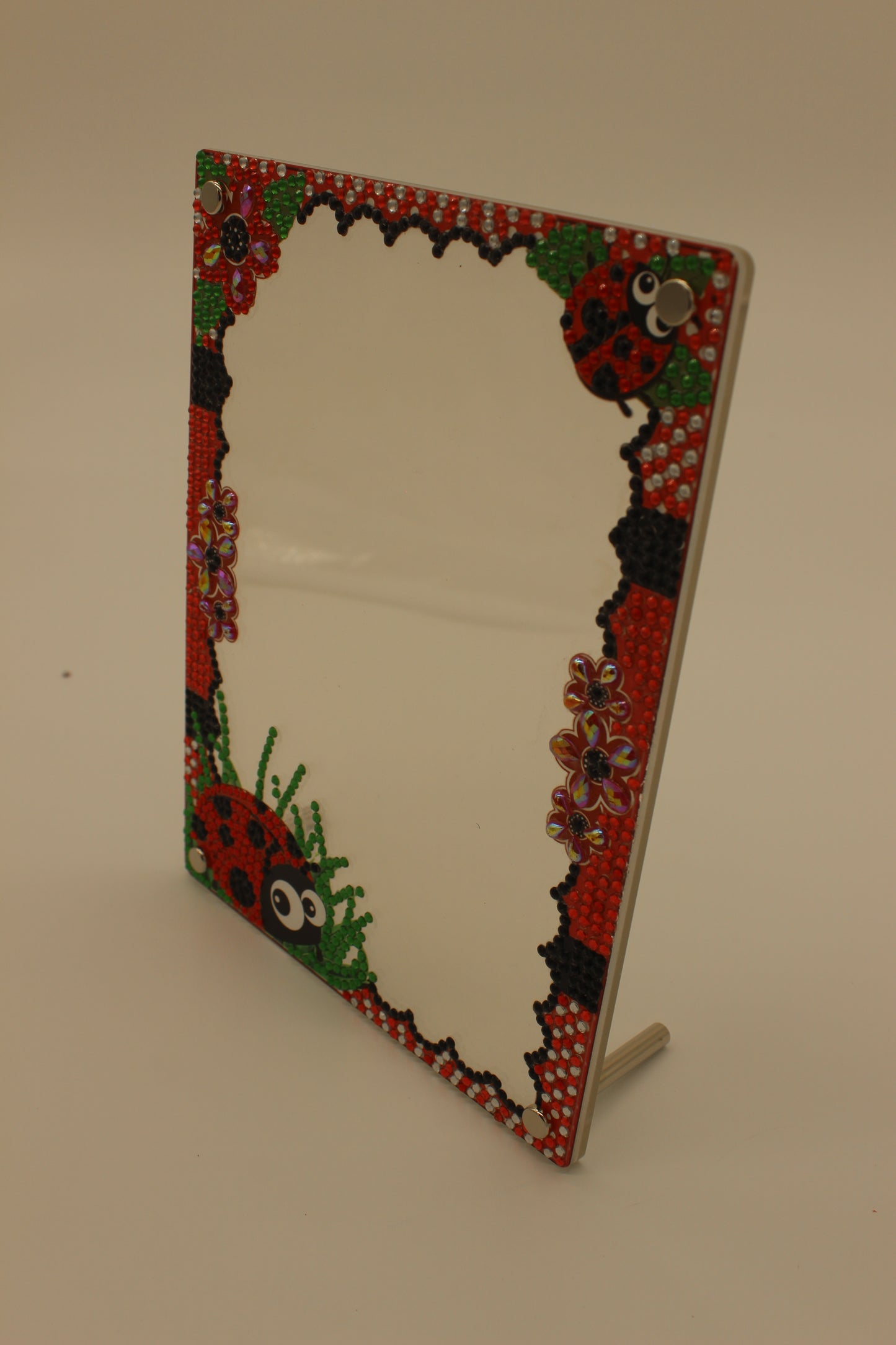 Diamond Art Clear Frame With a Lady Bug with Flowers