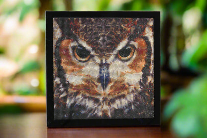 Majestic Brown Mr. Owl Means Business Framed Diamond Art