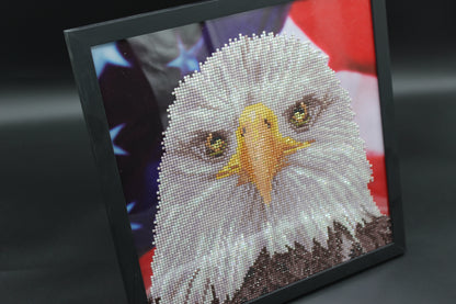 Great American Bald Eagle