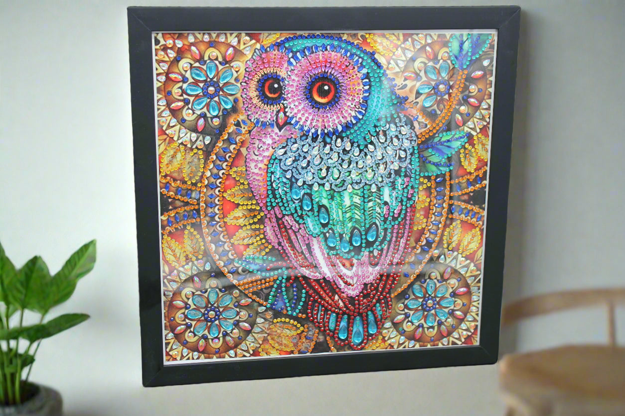Great Colorful Diamond Art Owl Picture Framed