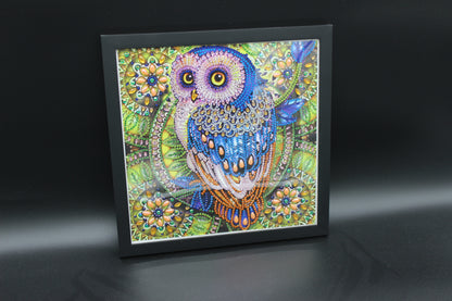 Cute Little Colorful Diamond Art Owl Picture Framed