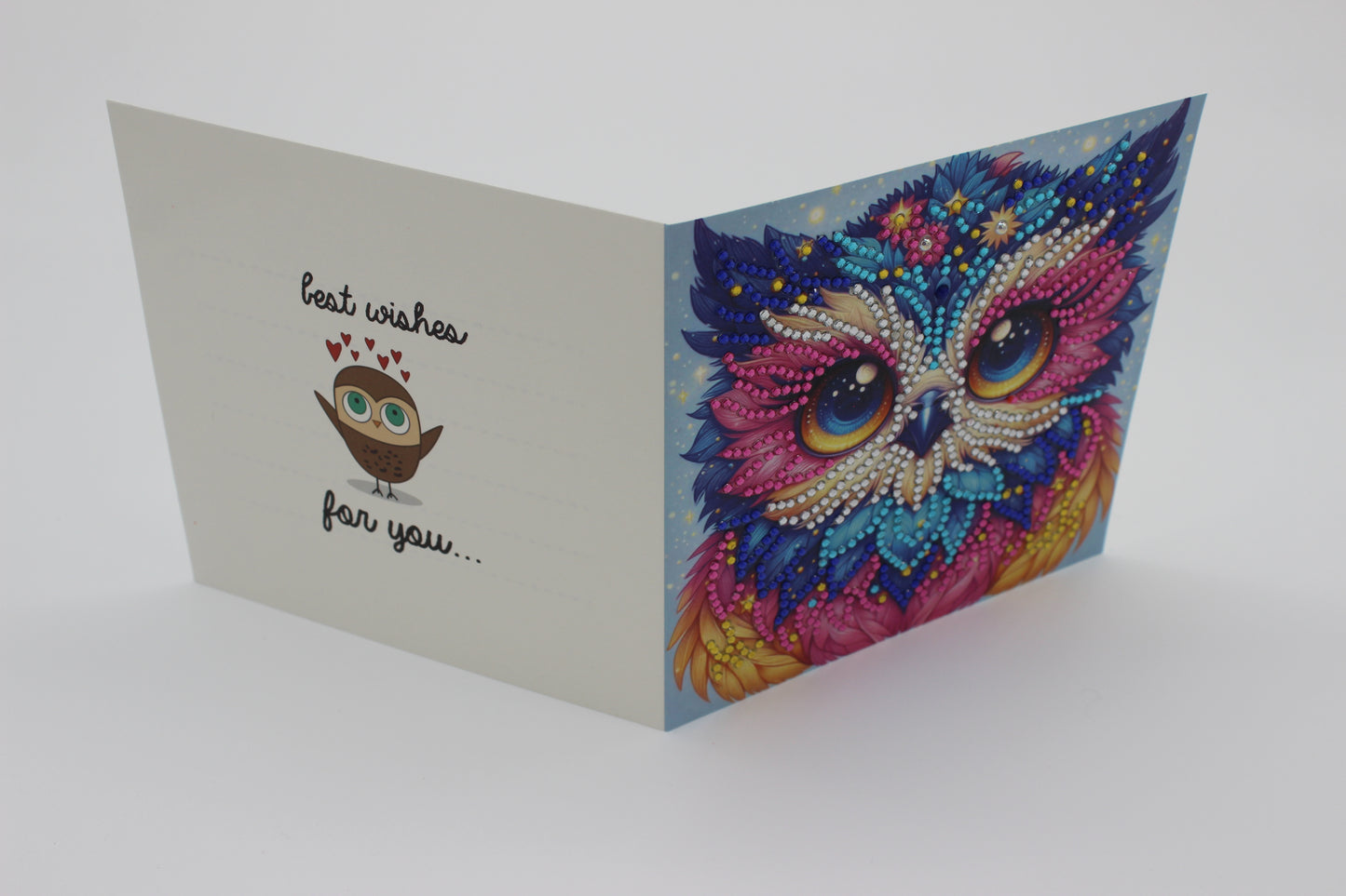 Stunning Multi Colored Owl Blue and Pink Best Wishes Greeting Card