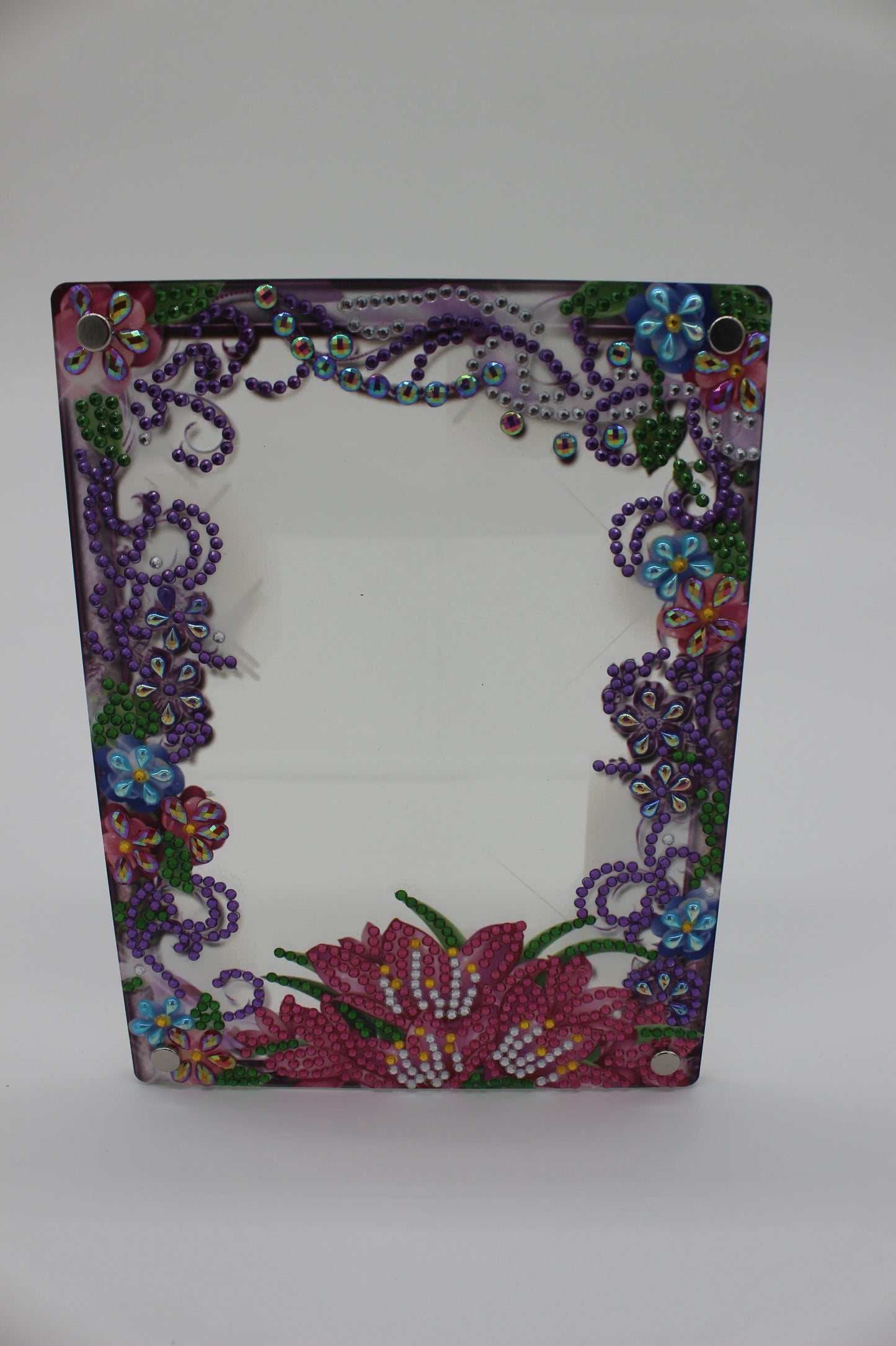 Diamond Art Clear Frame With Pink and Green Flowers