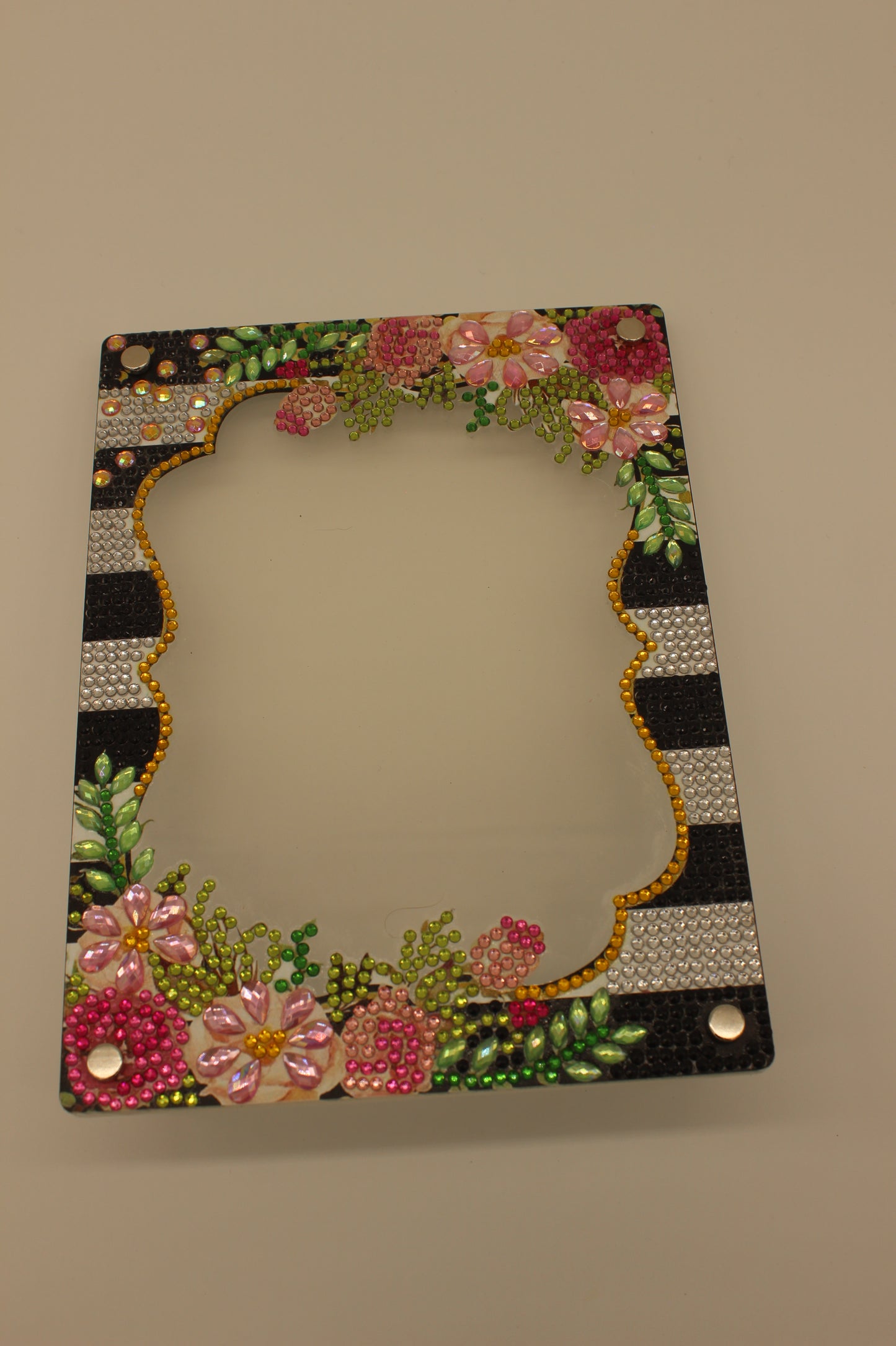 Diamond Art Clear Frame With Beautiful Multi Colored Flowers