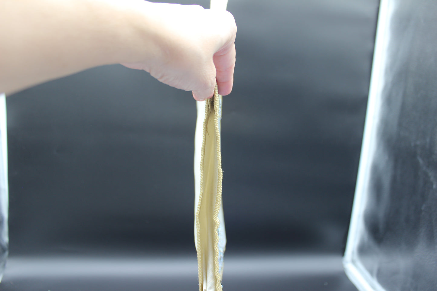 Canvas Bag with Majestic Albino Lioness