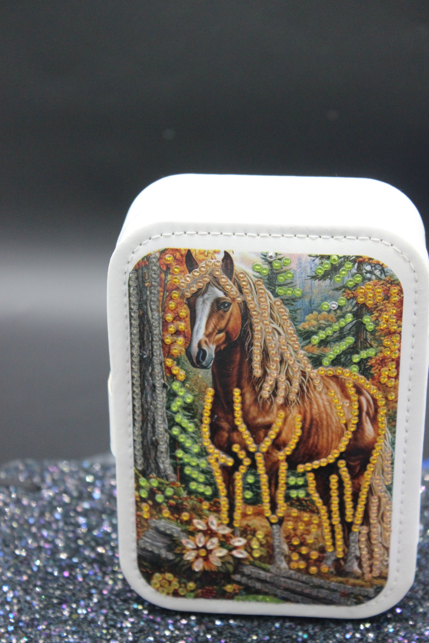 Portable Diamond Art Jewelry Storage Box with a Majestic Stallion with flowing Brown Hair